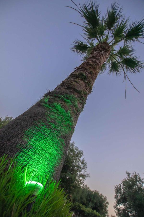 Vila Katerina'S Garden Mola Kaliva Exteriér fotografie